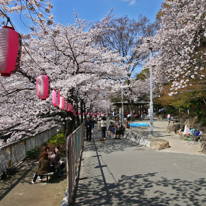 文京区立江戸川公園